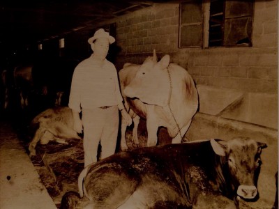 Κωνσταντίνος Λίτσας